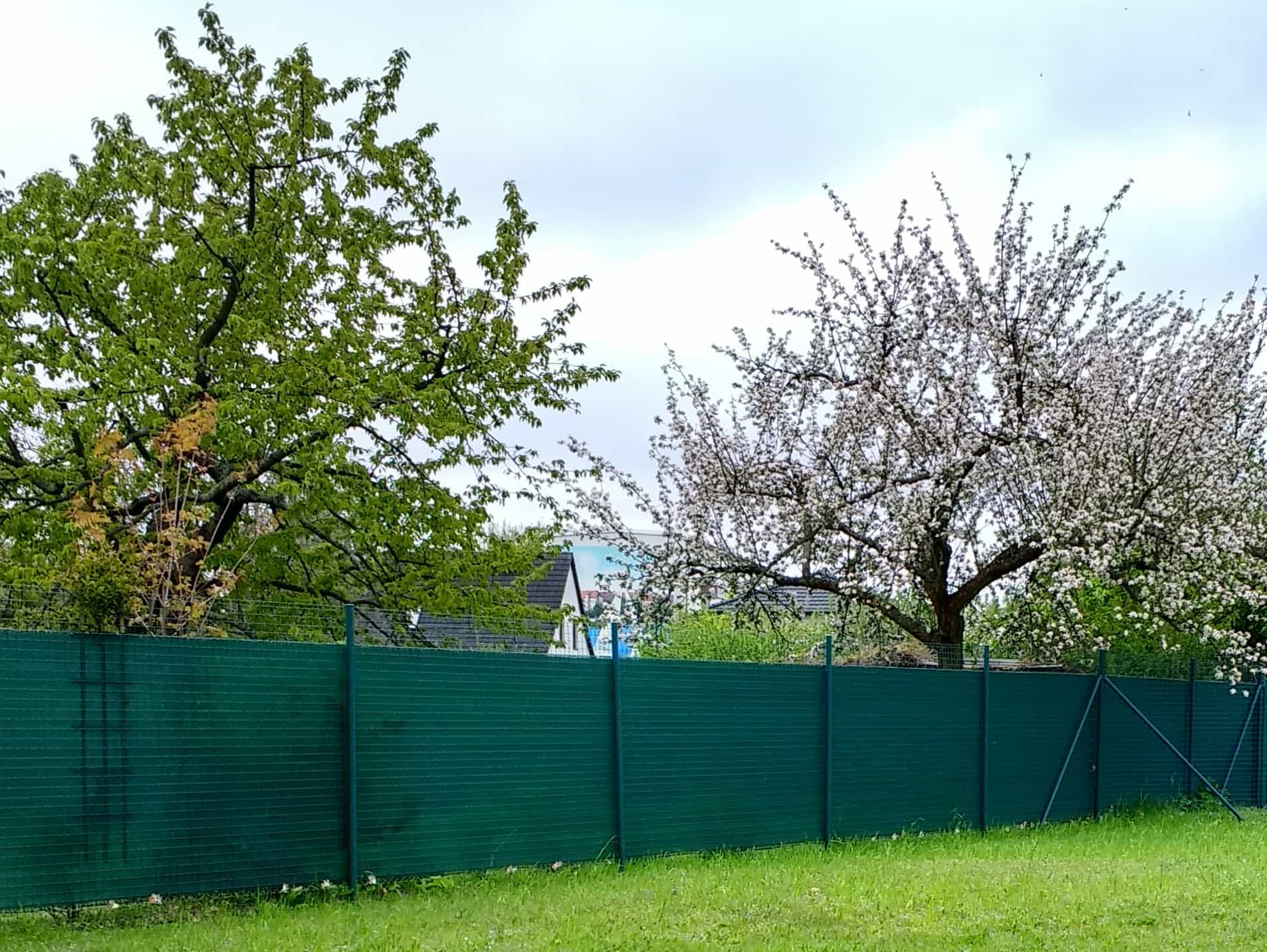 Windschutznetz am Wiesenrand vor einem Obstbaum
